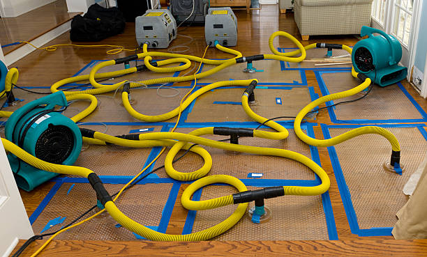 Professional Crawl Space Water Removal technician working in Balsam Lake, WI